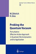 probing the quantum vacuum: perturbative effective action approach in quantum electrodynamics and its application (en Inglés)