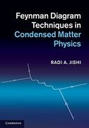 Feynman Diagram Techniques in Condensed Matter Physics (en Inglés)