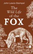 The Wild Life of the fox (en Inglés)