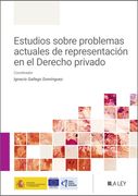 Estudios sobre problemas actuales de representación en el Derecho privado