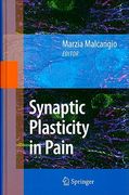 Synaptic Plasticity in Pain (en Inglés)