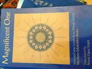 Magnificent One: Selected new Verses From Divan-I Kebir