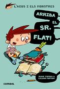Arriba el sr. Flat!