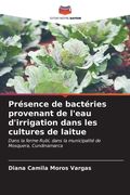 Présence de bactéries provenant de l'eau d'irrigation dans les cultures de laitue (en Francés)