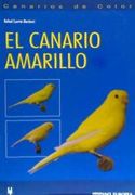 El Canario Amarillo (Canarios de Color)