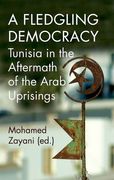 A Fledgling Democracy: Tunisia in the Aftermath of the Arab Uprisings 