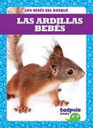 Las Ardillas Bebes (Squirrel Kits) (Los Bebés del Bosque