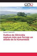 Cultivo de Gliricidia Sepium más que Forraje un Aliado de la Humanidad