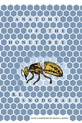 anatomy of the honey bee (en Inglés)