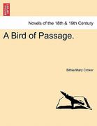 a bird of passage. (en Inglés)