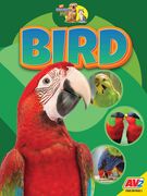Bird (en Inglés)