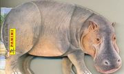 HIPOPOTAMO, EL MASCOTAS PANINI