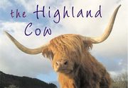 The Highland cow (en Inglés)