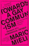 Towards a gay Communism: Elements of a Homosexual Critique (en Inglés)