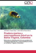 tres intuiciones y una perspectiva (en Inglés)