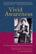 Vivid Awareness (en Inglés)