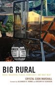 Big Rural: Rural Industrial Places, Democracy, and What Next (en Inglés)