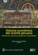 Historia económica del oriente peruano. Recolección, resistencia, adaptación y sostenibilidad