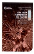 De la Teoría de Enfermería a la Práctica. Experiencias con Proyectos de Gestión del Cuidado