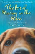 the art of racing in the rain: a novel. garth stein (en Inglés)