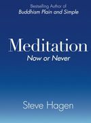 Meditation now or Never (en Inglés)