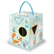 Good Morning Shapes. Eco-Cubotti (Sassi Junior) (en Inglés)
