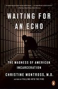 Waiting for an Echo: The Madness of American Incarceration 