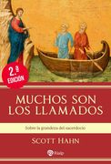 Muchos son los llamados. Sobre la grandeza del sacerdocio