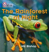 The Rainforest at Night: Blue / Band 4 (en Inglés)