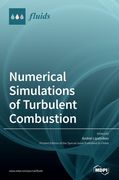 Numerical Simulations of Turbulent Combustion (en Inglés)