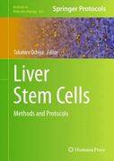 liver stem cells
