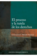 El proceso y la tutela de los derechos