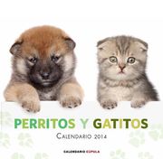 Calendario Perritos Y Gatitos