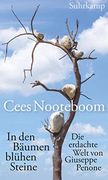 In den Bäumen Blühen Steine (in German)