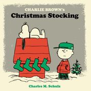charlie brown`s christmas stocking