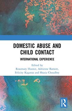 portada Domestic Abuse and Child Contact: International Experience 
