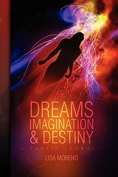 portada dreams imagination and destiny (en Inglés)