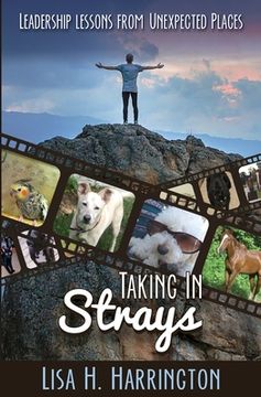 portada Taking In Strays: Leadership Lessons From Unexpected Places (en Inglés)