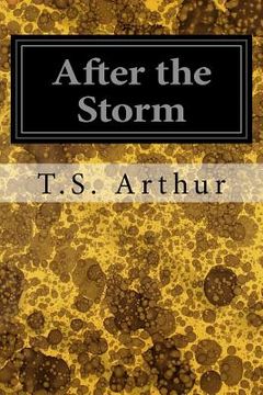 portada After the Storm