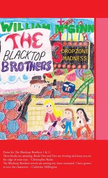 portada The Blacktop Brothers 3: Dropzone Madness