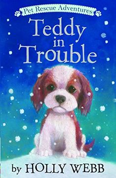 portada Teddy in Trouble (Pet Rescue Adventures) (en Inglés)