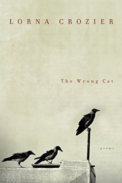 portada The Wrong cat (in English)