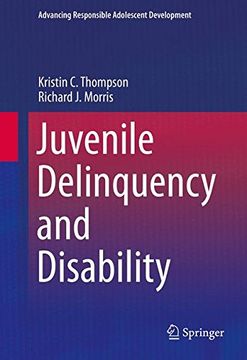 portada Juvenile Delinquency and Disability (Advancing Responsible Adolescent Development)