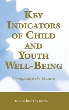 portada Key Indicators of Child and Youth Well-Being: Completing the Picture