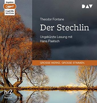 portada Der Stechlin: Ungekürzte Lesung (2 Mp3-Cds) (in German)