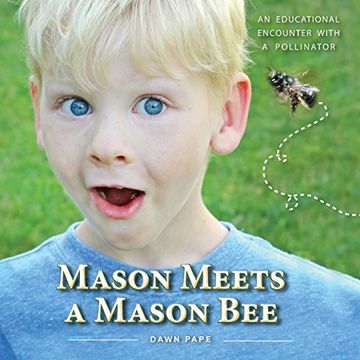 portada Mason Meets a Mason Bee: An Educational Encounter with a Pollinator (in English)