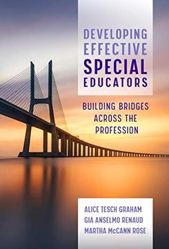 portada Developing Effective Special Educators: Building Bridges Across the Profession (in English)