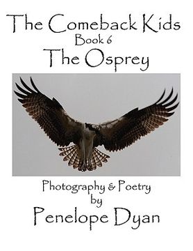 portada the comeback kids, book 6, the osprey (en Inglés)