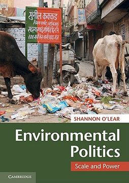 portada Environmental Politics Paperback (en Inglés)