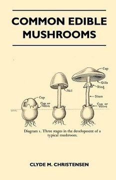 portada common edible mushrooms (en Inglés)